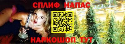 дмт Кимры