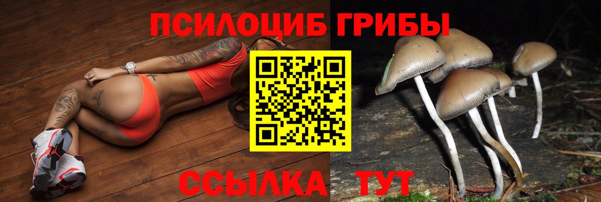Кандалакша  Галлюциногенные грибы GOLDEN TEACHER  Вход с VPN  купить   Галлюциногенные грибы GOLDEN TEACHER 